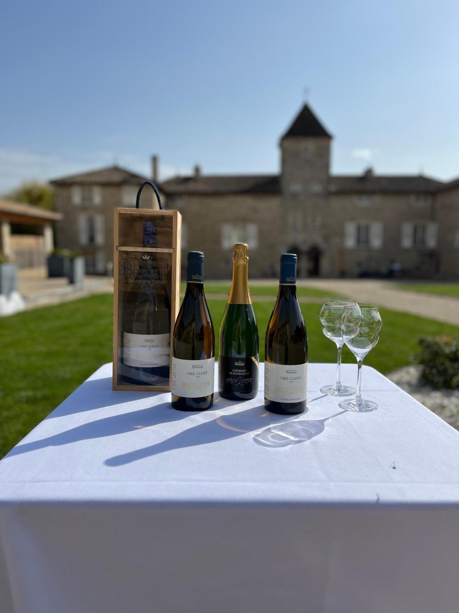 Hotel-Restaurant Le Chateau De Besseuil, Macon Nord - Teritoria Clessé Εξωτερικό φωτογραφία
